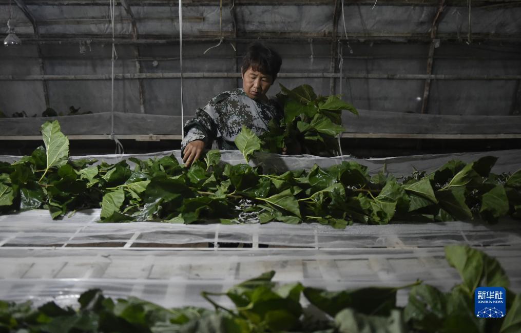 2018最新网上投注平台老虎机